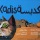 Kadisa: A new children’s book written in collaboration with children